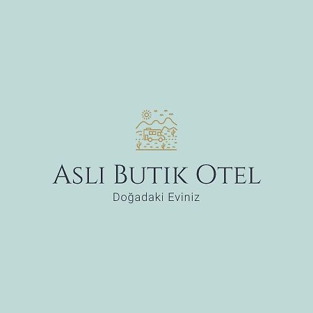 Asli Boutique Hotel Akbuk (Didim) Exterior photo